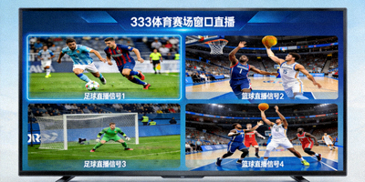 333体育赛场窗口直播画面 - 多路高清足球篮球实时直播信号